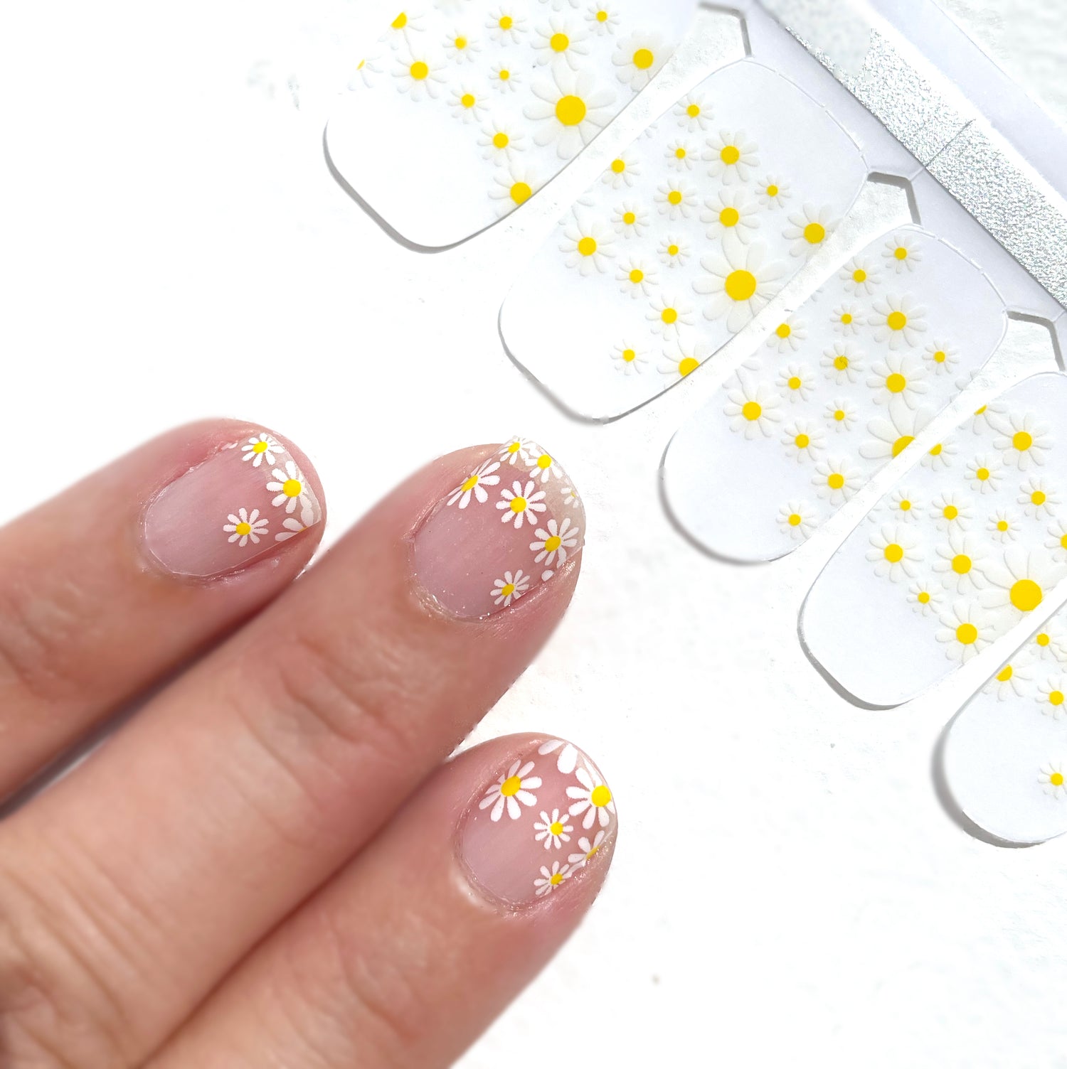 French Daisy Nail Wraps